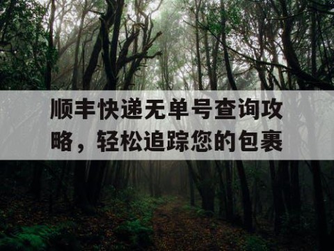 顺丰快递无单号查询攻略，轻松追踪您的包裹