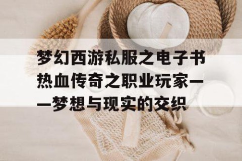 梦幻西游私服之电子书热血传奇之职业玩家——梦想与现实的交织