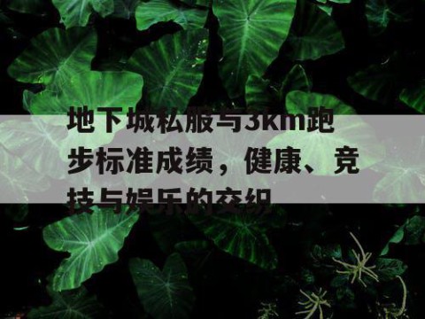 地下城私服与3km跑步标准成绩，健康、竞技与娱乐的交织