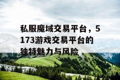 私服魔域交易平台，5173游戏交易平台的独特魅力与风险