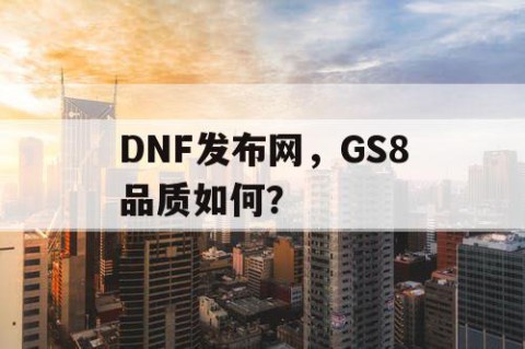 DNF发布网，GS8品质如何？