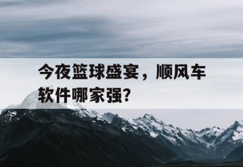 今夜篮球盛宴，顺风车软件哪家强？