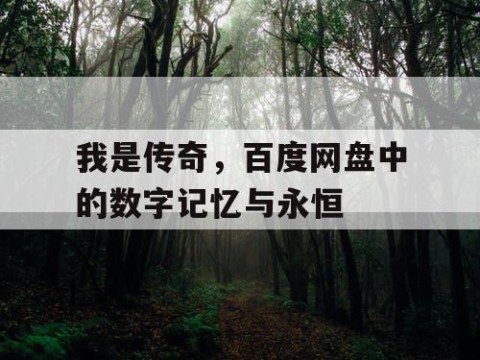 我是传奇，百度网盘中的数字记忆与永恒