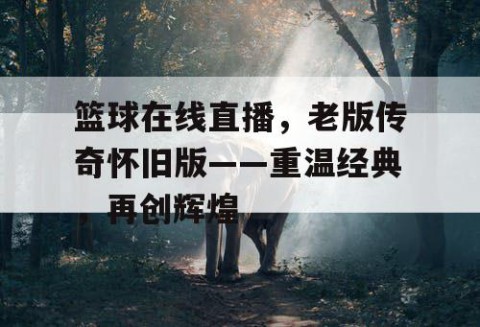 篮球在线直播,老版传奇怀旧版——重温经典,再创辉煌