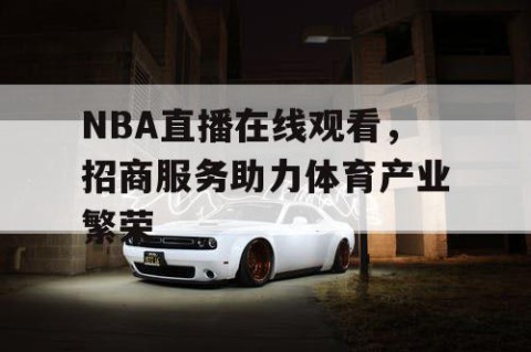 NBA直播在线观看，招商服务助力体育产业繁荣