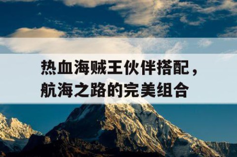 热血海贼王伙伴搭配，航海之路的完美组合