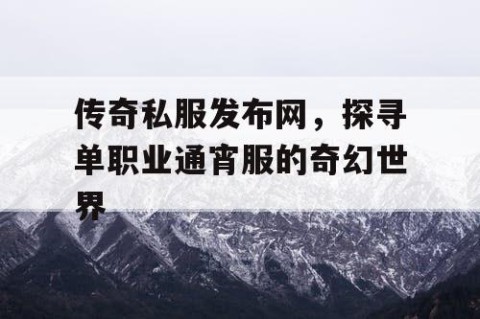 传奇私服发布网，探寻单职业通宵服的奇幻世界