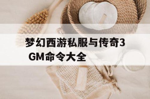 梦幻西游私服与传奇3 GM命令大全