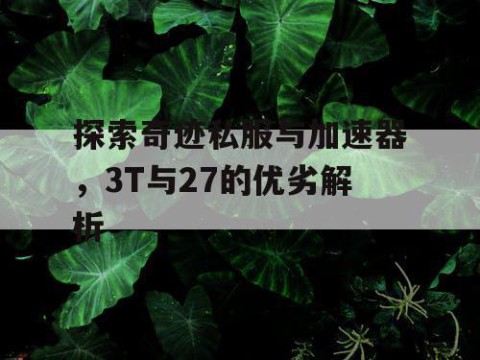 探索奇迹私服与加速器，3T与27的优劣解析