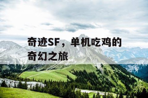 奇迹SF，单机吃鸡的奇幻之旅