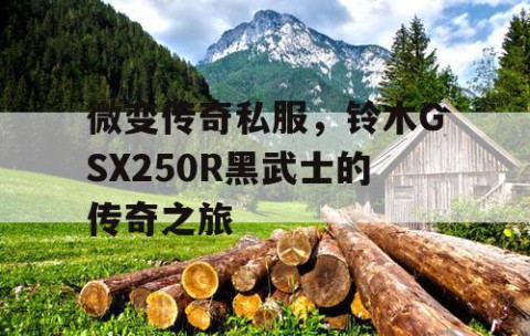 微变传奇私服，铃木GSX250R黑武士的传奇之旅