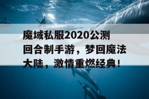 魔域私服2020公测回合制手游，梦回魔法大陆，激情重燃经典！
