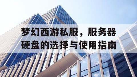 梦幻西游私服，服务器硬盘的选择与使用指南