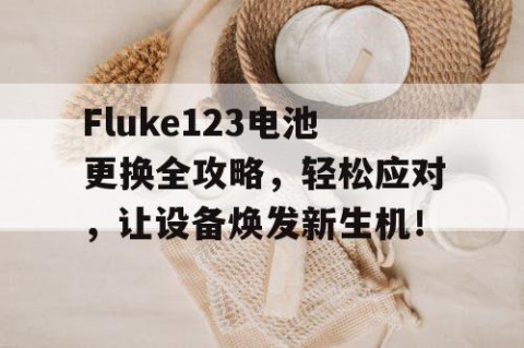 Fluke123电池更换全攻略，轻松应对，让设备焕发新生机！
