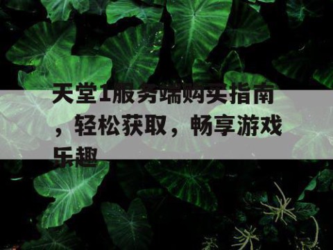 天堂1服务端购买指南，轻松获取，畅享游戏乐趣