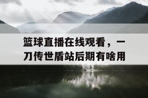 篮球直播在线观看，一刀传世盾站后期有啥用