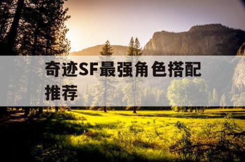 奇迹SF最强角色搭配推荐