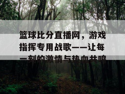 篮球比分直播网,游戏指挥专用战歌——让每一刻的激情与热血共鸣