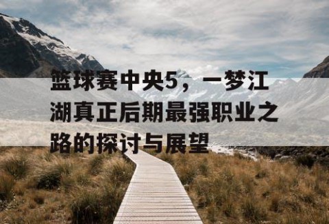 篮球赛中央5,一梦江湖真正后期最强职业之路的探讨与展望