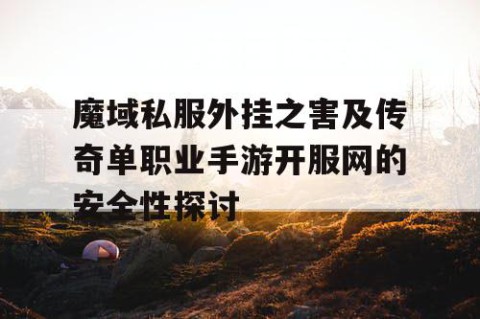 魔域私服外挂之害及传奇单职业手游开服网的安全性探讨