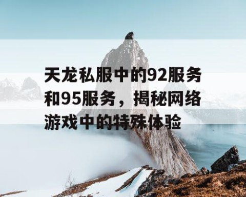 天龙私服中的92服务和95服务，揭秘网络游戏中的特殊体验