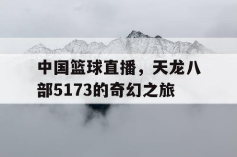 中国篮球直播,天龙八部5173的奇幻之旅