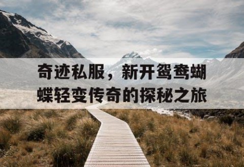 奇迹私服，新开鸳鸯蝴蝶轻变传奇的探秘之旅