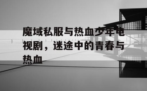 魔域私服与热血少年电视剧，迷途中的青春与热血