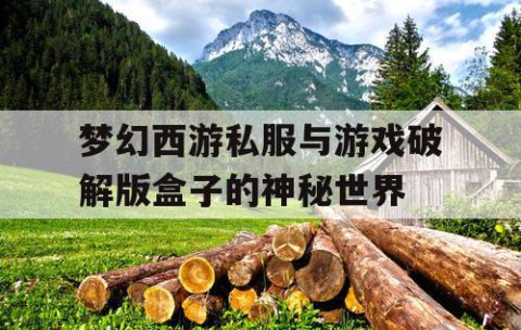 梦幻西游私服与游戏破解版盒子的神秘世界