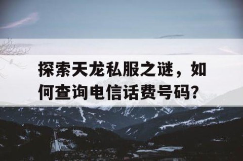 探索天龙私服之谜，如何查询电信话费号码？