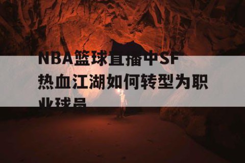 NBA篮球直播中SF热血江湖如何转型为职业球员