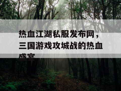 热血江湖私服发布网，三国游戏攻城战的热血盛宴