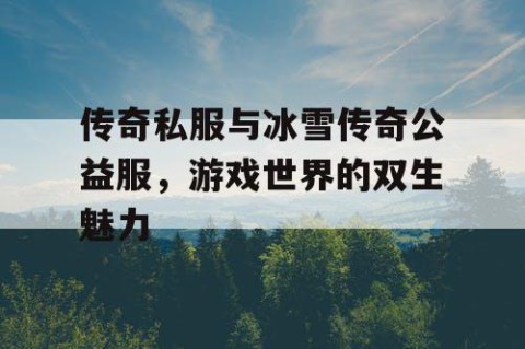 传奇私服与冰雪传奇公益服，游戏世界的双生魅力