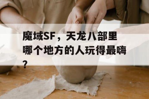 魔域SF，天龙八部里哪个地方的人玩得最嗨？