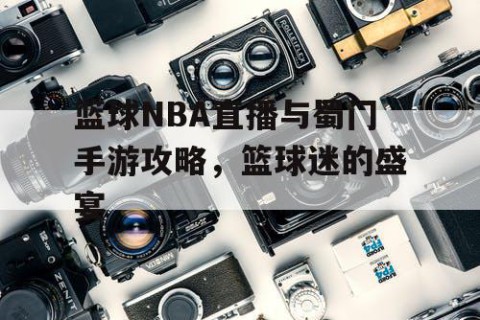 篮球NBA直播与蜀门手游攻略,篮球迷的盛宴