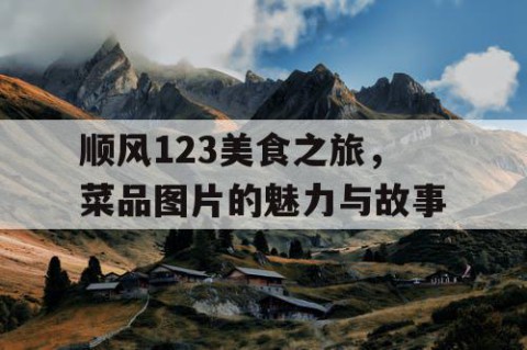 顺风123美食之旅，菜品图片的魅力与故事