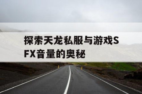 探索天龙私服与游戏SFX音量的奥秘