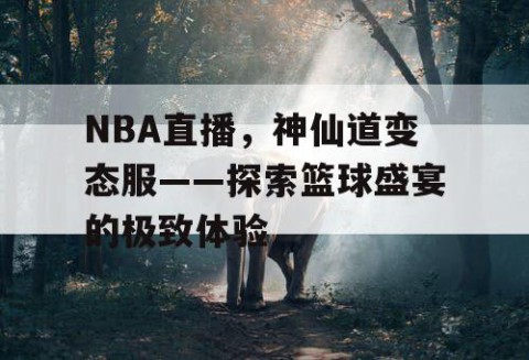 NBA直播,神仙道变态服——探索篮球盛宴的极致体验