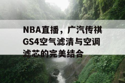 NBA直播,广汽传祺GS4空气滤清与空调滤芯的完美结合