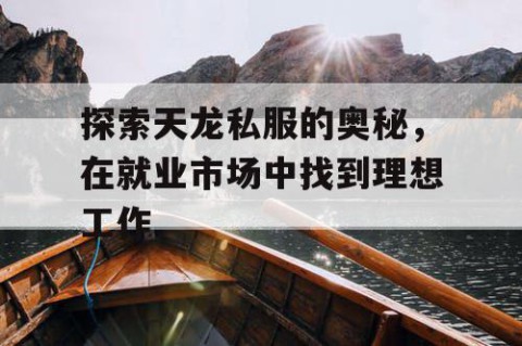 探索天龙私服的奥秘，在就业市场中找到理想工作