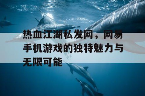 热血江湖私发网，网易手机游戏的独特魅力与无限可能