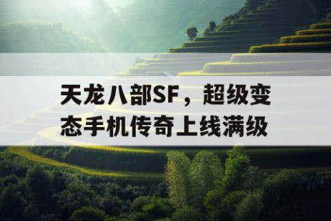 天龙八部SF，超级变态手机传奇上线满级