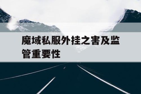 魔域私服外挂之害及监管重要性