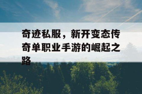 奇迹私服,新开变态传奇单职业手游的崛起之路