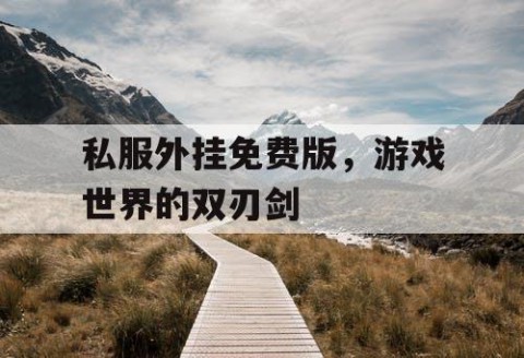 私服外挂免费版，游戏世界的双刃剑