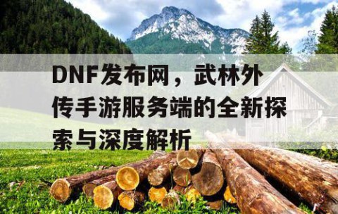 DNF发布网，武林外传手游服务端的全新探索与深度解析