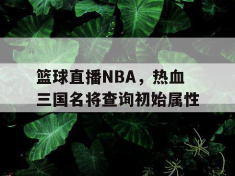 篮球直播NBA,热血三国名将查询初始属性