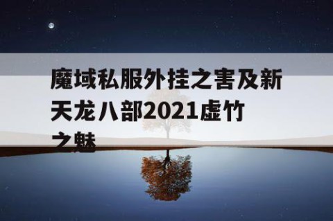 魔域私服外挂之害及新天龙八部2021虚竹之魅