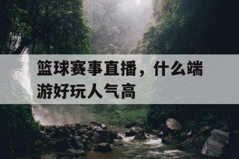 篮球赛事直播,什么端游好玩人气高