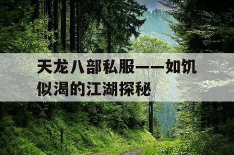 天龙八部私服——如饥似渴的江湖探秘
